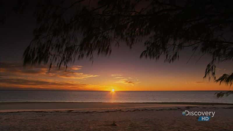 ¼Ƭ󱤽 (DC) Great Barrier Reef (DC)Ļ/Ļ