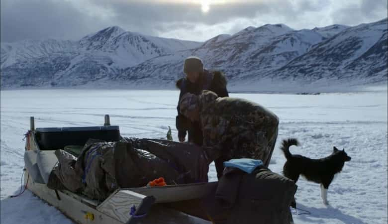 ¼Ƭΰıʢ The Great Polar Bear FeastĻ/Ļ