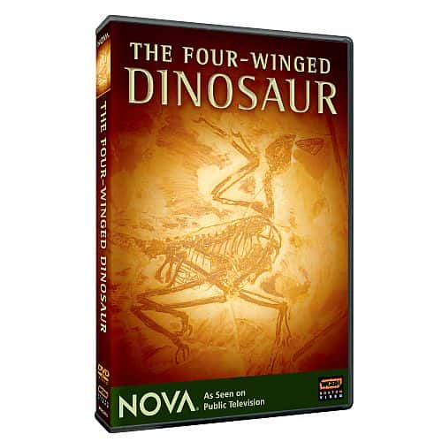 纪录片《四翼恐龙 The Four-Winged Dinosaur》[无字] [BT][DVD画质]资源下载