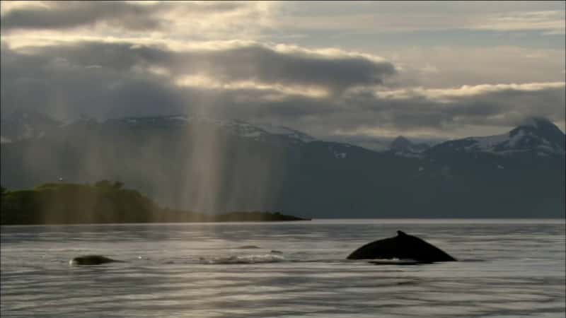 ¼Ƭܵı Fortress of the BearsĻ/Ļ