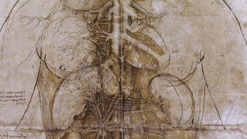 ¼Ƭаɶࡤ The Genius of Leonardo da Vinciȫ1-Ļ/Ļ