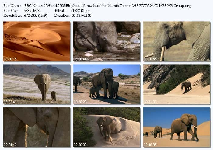 纪录片《纳米布沙漠的大象游牧民族 Elephant Nomads of the Namib Desert》[无字] [BT][DVD画质]资源下载