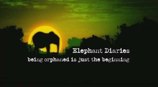 ¼Ƭռ Elephant DiariesĻ/Ļ