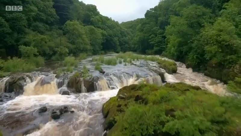 ¼Ƭʿ빫԰ Extreme Wales with ParksĻ/Ļ