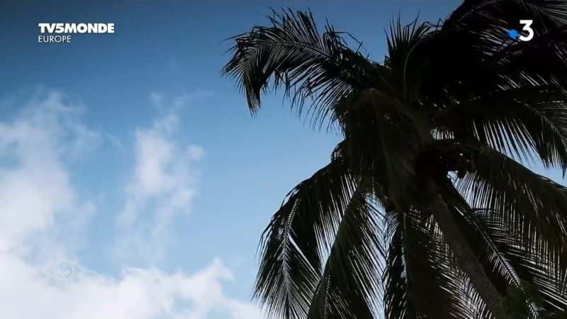 ¼Ƭϵյ˵˹Ⱥ Guadeloupe et Martinique, les soeurs des Antillesȫ1-Ļ/Ļ