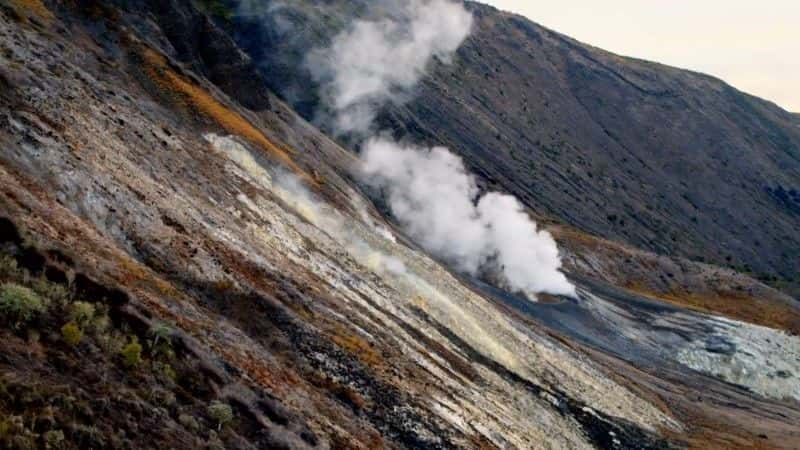 ¼Ƭ˹ȡ Galapagos With Liz Bonninȫ3-Ļ/Ļ