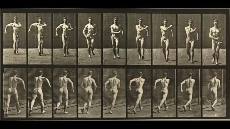 ¼ƬEadweard Muybridge  160 ֶ˶ Eadweard Muybridge's 160 Animal LocomotionsĻ/Ļ