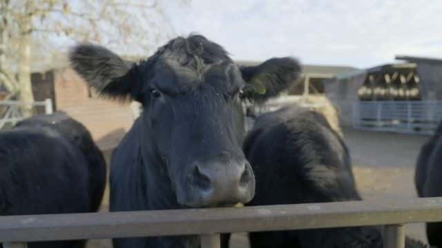 纪录片《光谱农业 Farming on the Spectrum》[无字][BT][720P]资源下载