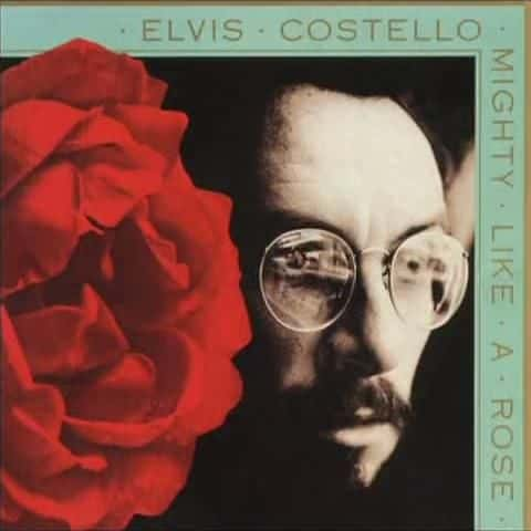 ¼Ƭά˹˹ӳ Elvis Costello Mystery Dance Extended1080P-Ļ/Ļ