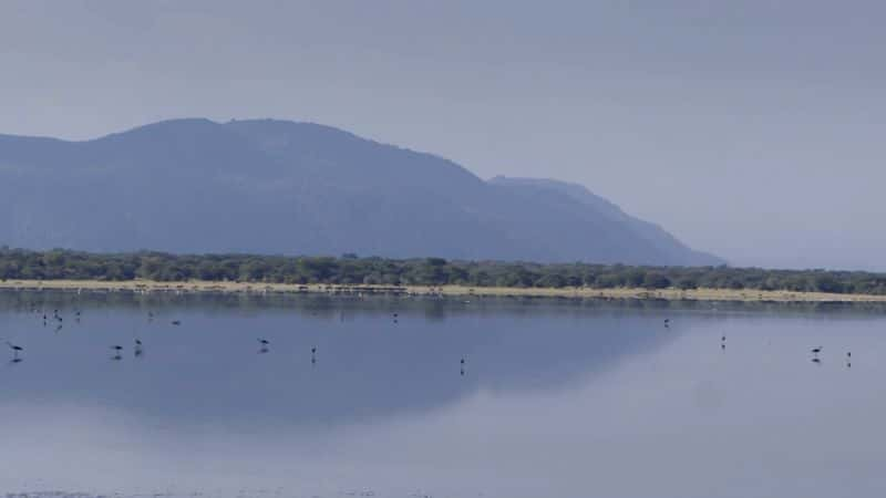 ¼Ƭ˷ Extreme Africa1080P-Ļ/Ļ