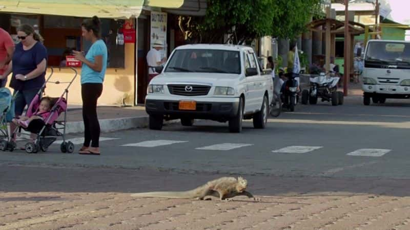 ¼Ƭ˹Ⱥ֮ Galapagos: Islands of ChangeĻ/Ļ