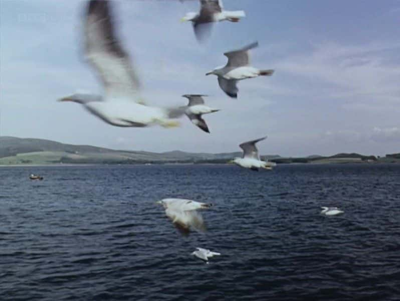 纪录片《从海洋到陆地（BBC） From the Sea to the Land Beyond (BBC)》[无字][BT][1080P]资源下载