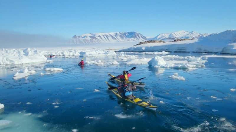 ¼Ƭ Backshall һ̽գϵ 1 Expedition with Backshall: Series 11080P-Ļ/Ļ