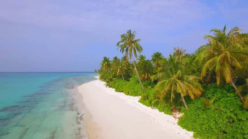 ¼ƬҰϵ 1  13 ֣ Great Blue Wild Series 1 Part 13: Maldives1080P-Ļ/Ļ