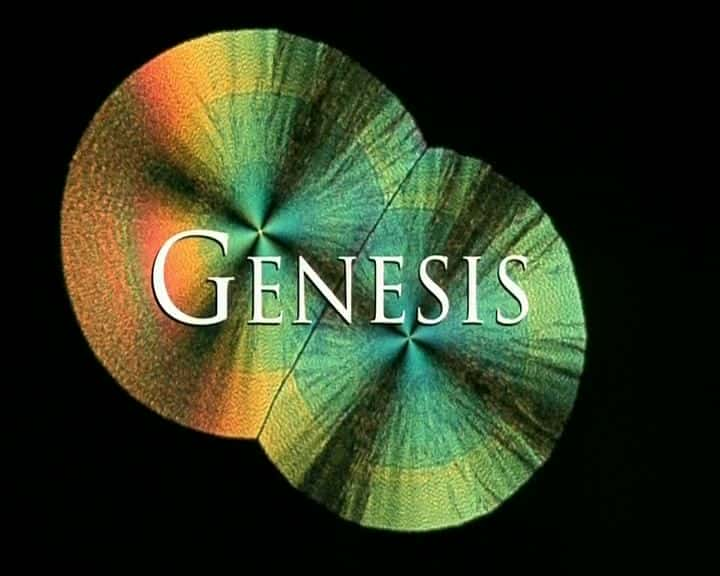 ¼Ƭ - Ǵ£ Genesis - Where Are We Coming From ( Ch4 )Ļ/Ļ