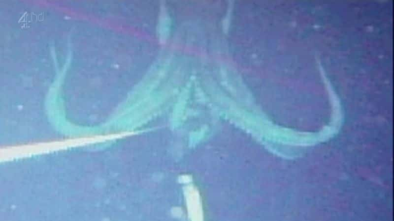 ¼Ƭ£ Giant Squid (Ch4)ȫ1-Ļ/Ļ