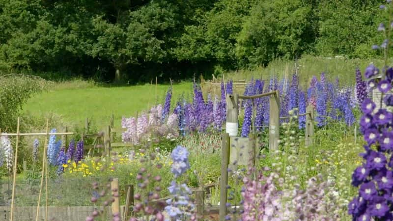 ¼Ƭ԰ϵ 53 10  Gardeners World Series 53: Part 101080P-Ļ/Ļ