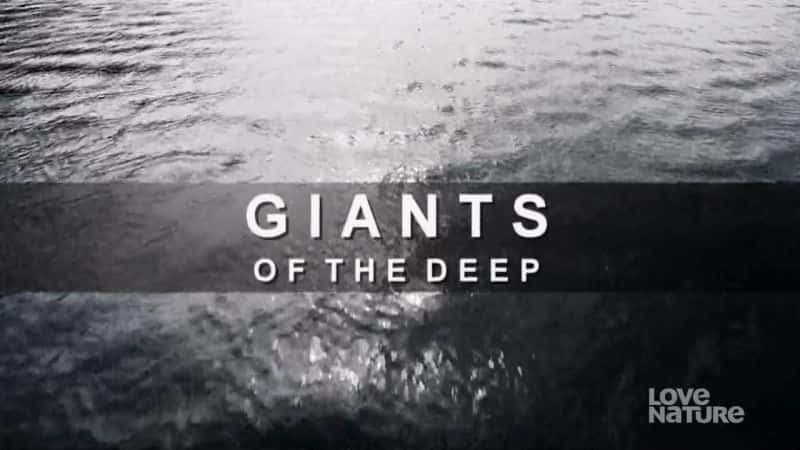 纪录片《深渊巨人 Giants of the Deep》[无字][BT][720P]资源下载