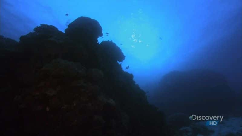 ¼Ƭ󱤽 (DC) Great Barrier Reef (DC)Ļ/Ļ