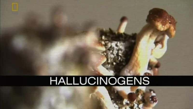 纪录片《致幻剂 Hallucinogens》[无字][BT][720P]资源下载