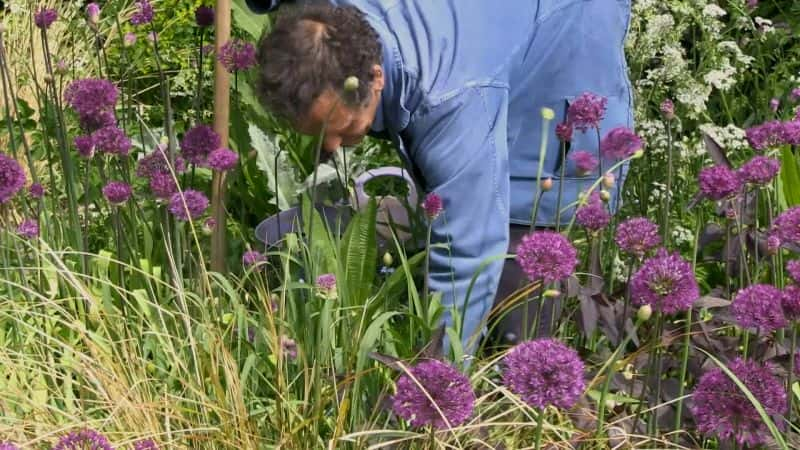 ¼Ƭ԰ϵ 53 10  Gardeners World Series 53: Part 101080P-Ļ/Ļ