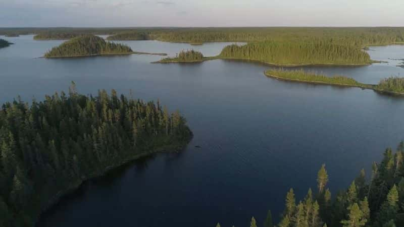 ¼Ƭʵ¹ʻ̵Ļ Gander International: The Airport in the Middle of Nowhere1080P-Ļ/Ļ