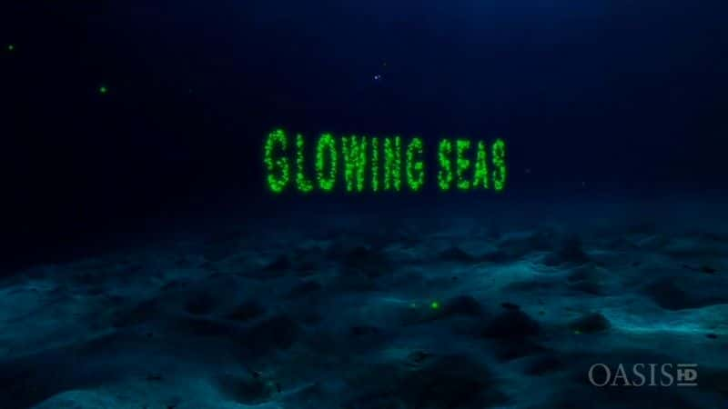 ¼Ƭĺ - ڹлظۿǱˮ Glowing Seas - Diving at Hatshepsut's HarbourĻ/Ļ