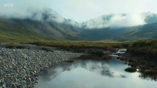 ¼Ƭɽۼ (BBC) The Great Mountain Sheep Gather (BBC)1080Pȫ1-Ļ/Ļ