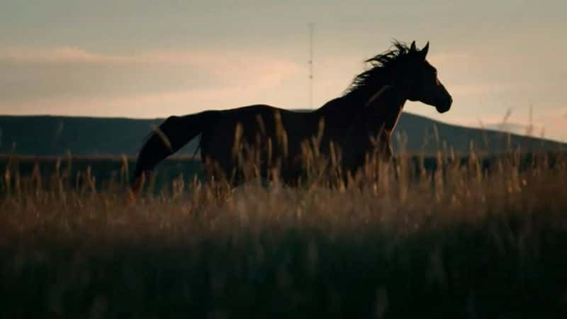 ¼Ƭһʿ First Horse WarriorsĻ/Ļ