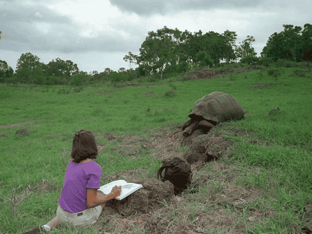 ¼Ƭ˹ (IMAX) Galapagos (IMAX)Ļ/Ļ