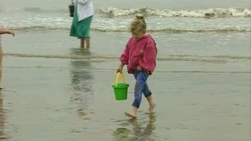 ¼ƬΰӢ The Great British Seaside Holidayȫ1-Ļ/Ļ