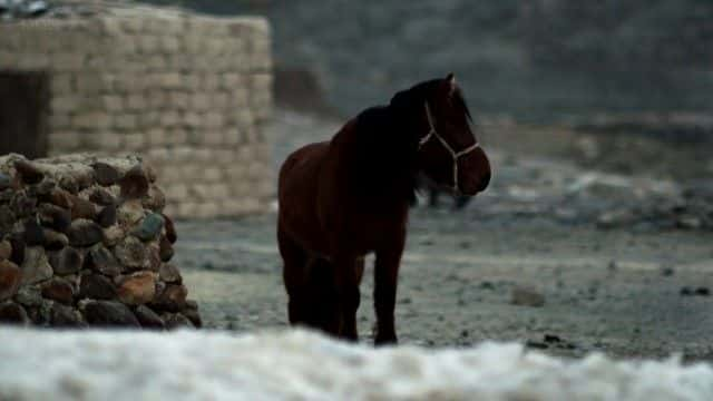 ¼Ƭӥ The Eagle Huntress1080Pȫ1-Ļ/Ļ