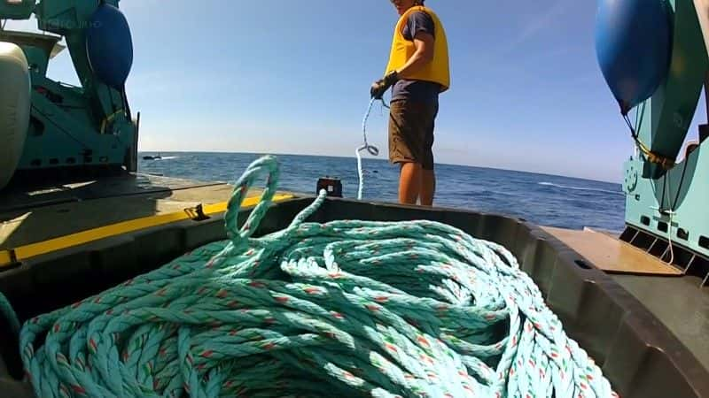 ¼Ƭ㲻ܵ (BBC) Giant Squid: Filming the Impossible (BBC)1080Pȫ1-Ļ/Ļ