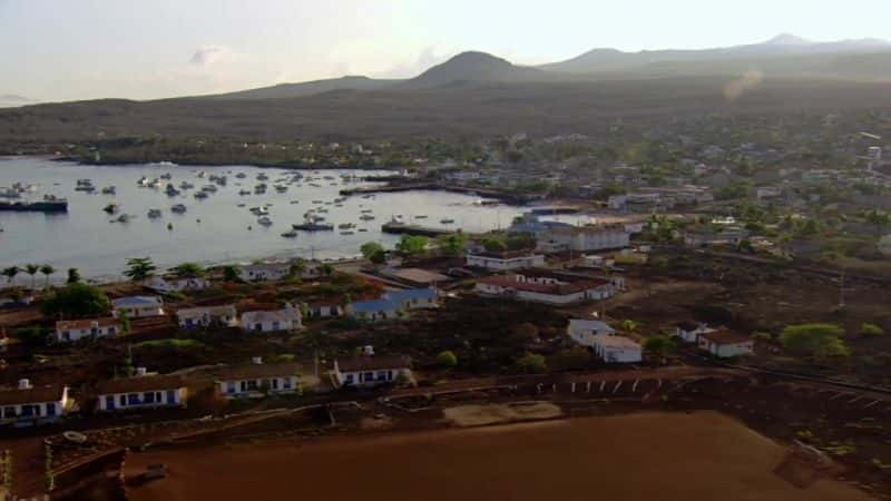 ¼Ƭ˹Ⱥ֮ Galapagos: Islands of ChangeĻ/Ļ