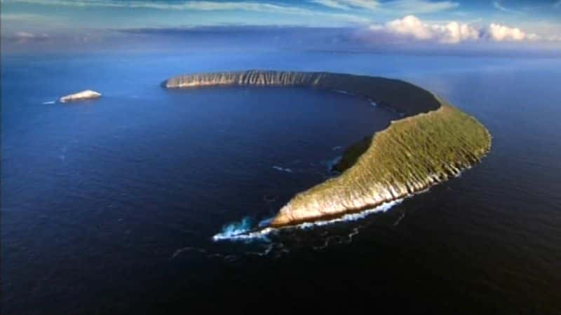 ¼Ƭ˹ (BSkyB) Galapagos (BSkyB)Ļ/Ļ