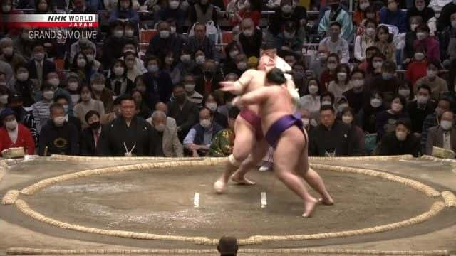 ¼Ƭֱֳ2023  1  Grand Sumo Live: January 2023ȫ1-Ļ/Ļ