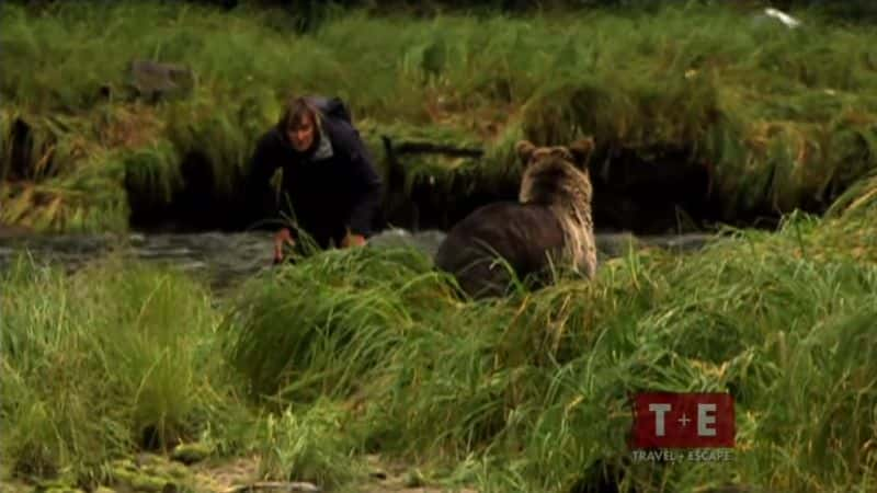 纪录片《灰熊 Grizzly Bears》[无字][BT][720P]资源下载