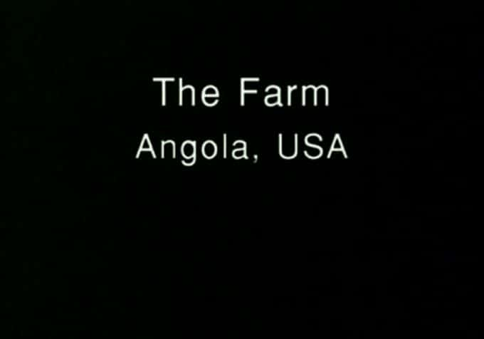 纪录片《农场 - 安哥拉 The Farm - Angola》[全1集][历史纪录片][无字幕][高清][MP4][BT][资源下载]