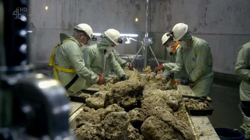 ¼Ƭزʬ Fatberg AutopsyĻ/Ļ