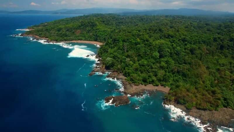 ¼ƬGreat Blue Wildϵ 1  14  ˹ Great Blue Wild: Series 1 Part 14 Costa Rica1080P-Ļ/Ļ