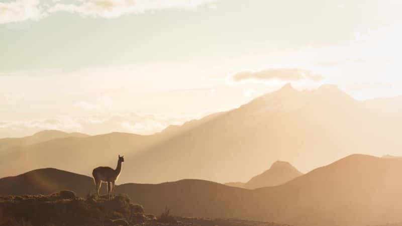 ¼Ƭ̽򣺰 Exploring Earth: PatagoniaĻ/Ļ