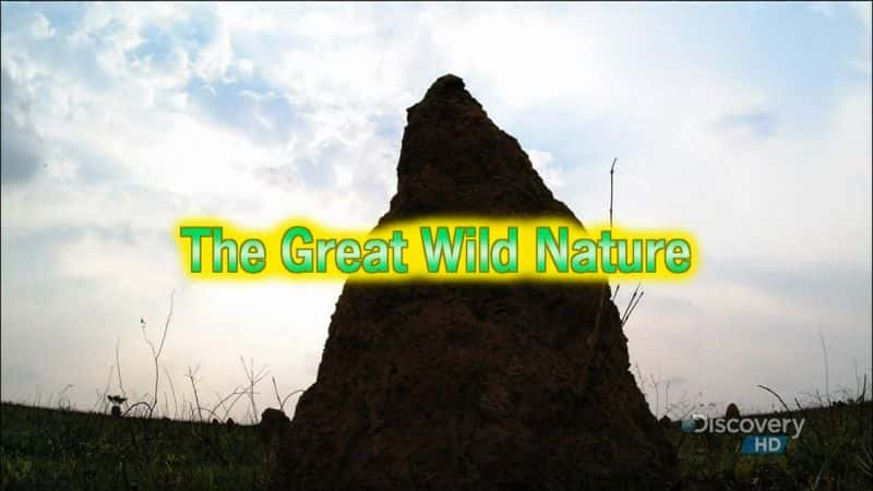 ¼ƬΰҰȻ The Great Wild NatureĻ/Ļ