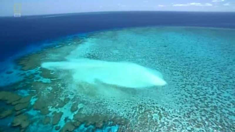 ¼Ƭ󱤽 (NG) Great Barrier Reef (NG)Ļ/Ļ