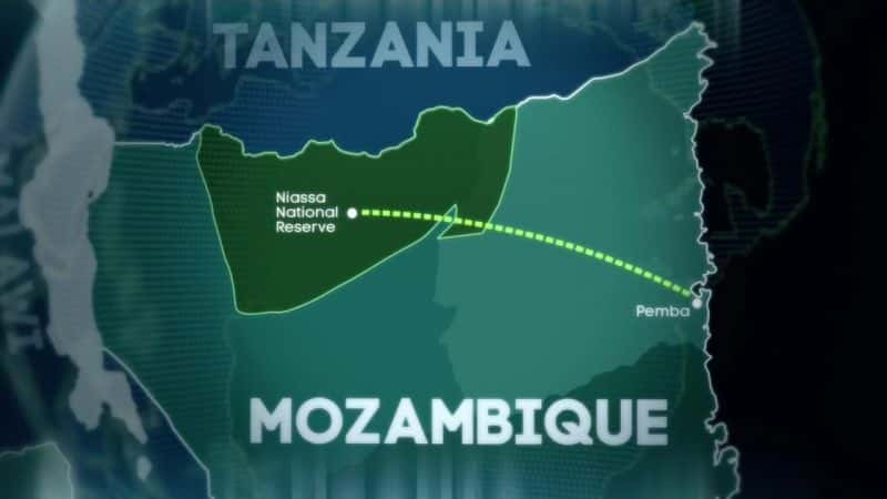 ¼Ƭ磺Īɣȿ Extreme World: MozambiqueĻ/Ļ