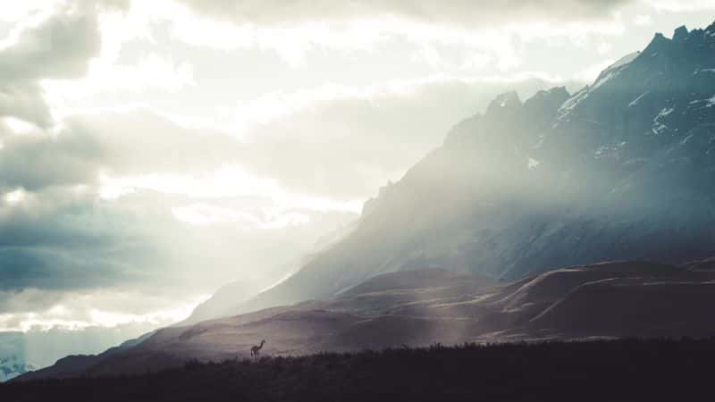 ¼Ƭ̽򣺰 Exploring Earth: PatagoniaĻ/Ļ