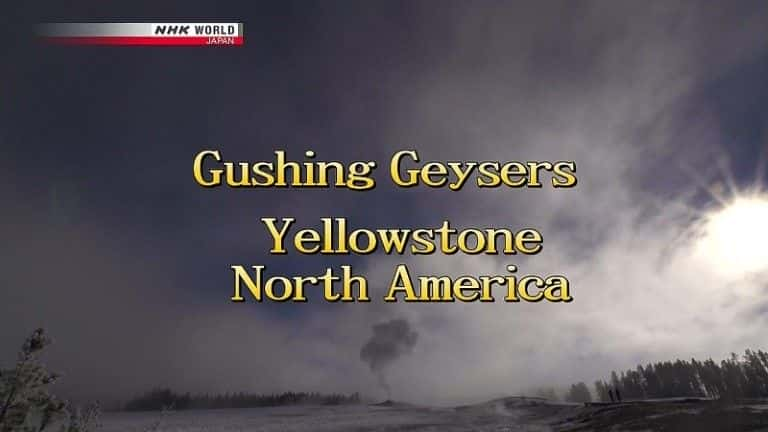 ¼Ƭʯ԰ЪȪ Gushing Geysers Yellowstoneȫ1-Ļ/Ļ