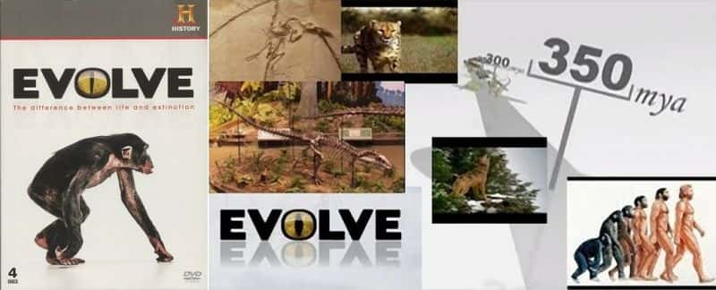 ¼Ƭռ Evolve: The Ultimate Story of SurvivalĻ/Ļ