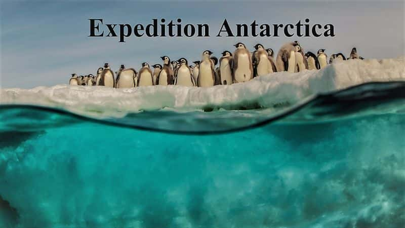 ¼Ƭϼ̽գϵ 1 Expedition Antarctica: Series 11080P-Ļ/Ļ