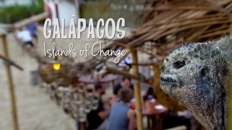 ¼Ƭ˹Ⱥ֮ Galapagos: Islands of ChangeĻ/Ļ