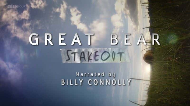 ¼Ƭܼ (BBC) Great Bear Stakeout (BBC)1080Pȫ2-Ļ/Ļ